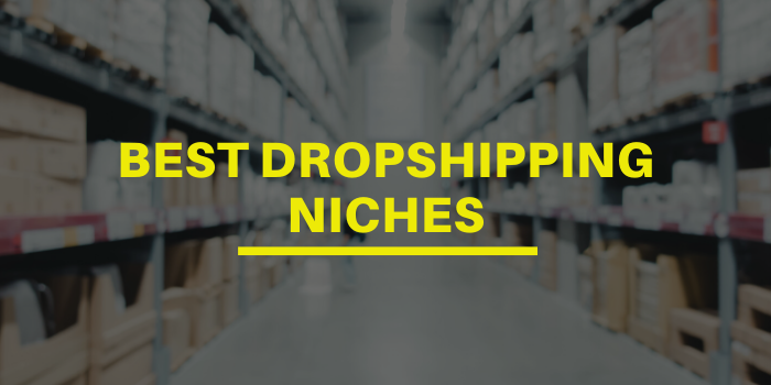 Best Dropshipping Niches