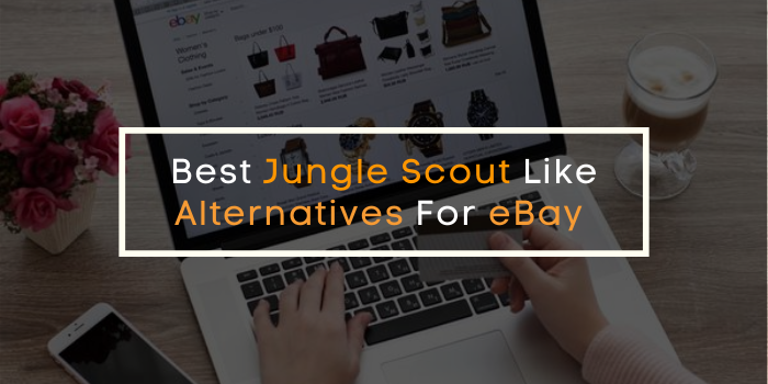 Best Jungle Scout Like Alternatives For eBay