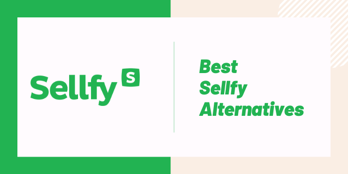 Best Sellfy Alternatives