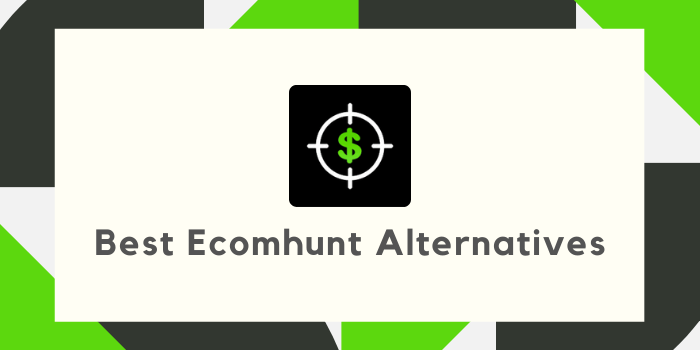9 Best Ecomhunt Alternatives 2025