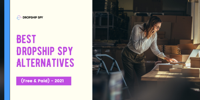 10 Best Dropship Spy Alternatives (Free Included) – 2025